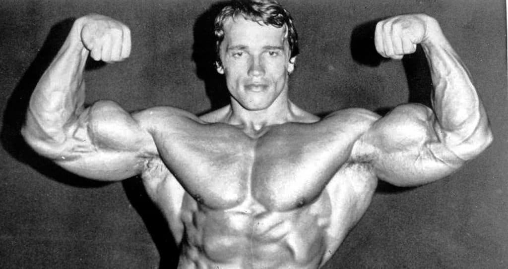 arnold schwarzenegger mesomorph