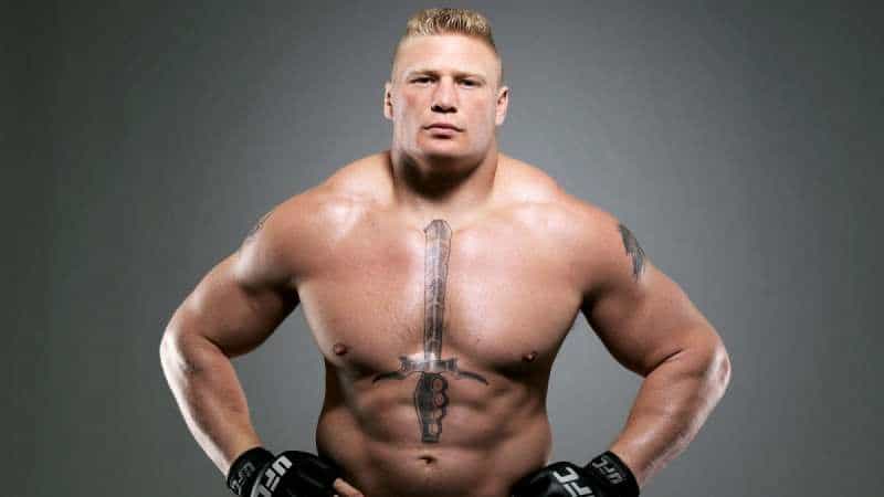 brock lesnar endomorpgh